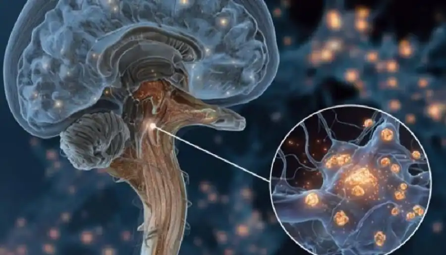 مدار الساعة,أخبار الصحة والأسرة