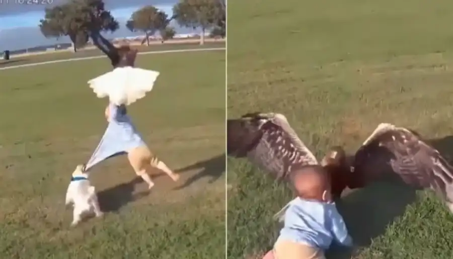 مدار الساعة,أخبار الصحة والأسرة,مواقع التواصل الاجتماعي,الذكاء الاصطناعي