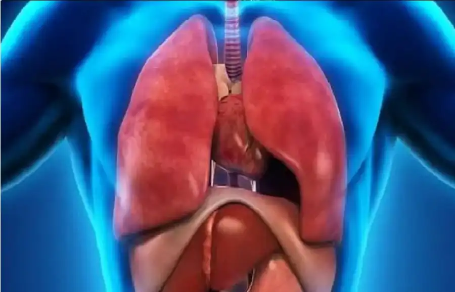 مدار الساعة,أخبار الصحة والأسرة