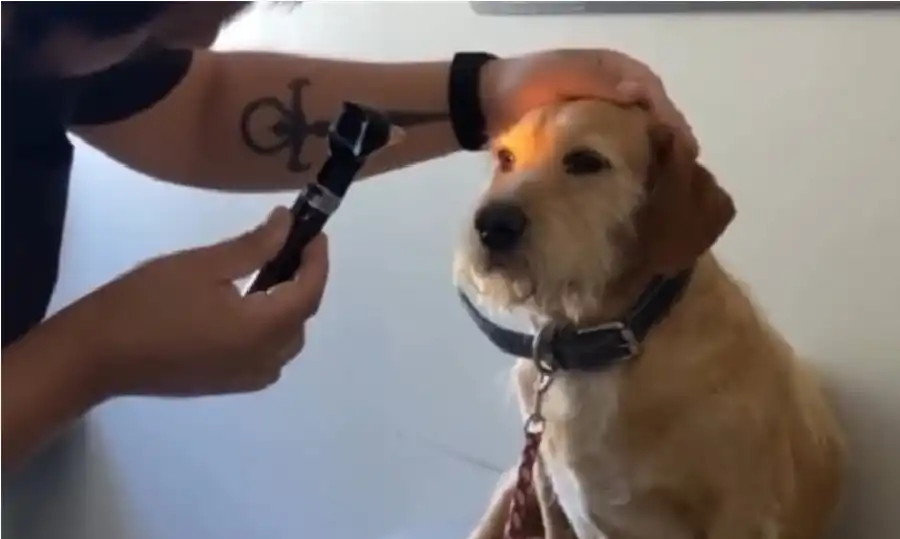 مدار الساعة,أخبار خفيفة ومنوعة