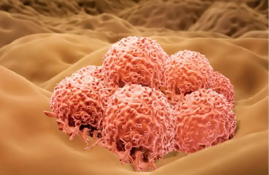 مدار الساعة,أخبار الصحة والأسرة