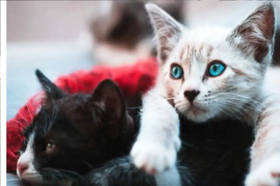 مدار الساعة,أخبار الصحة والأسرة