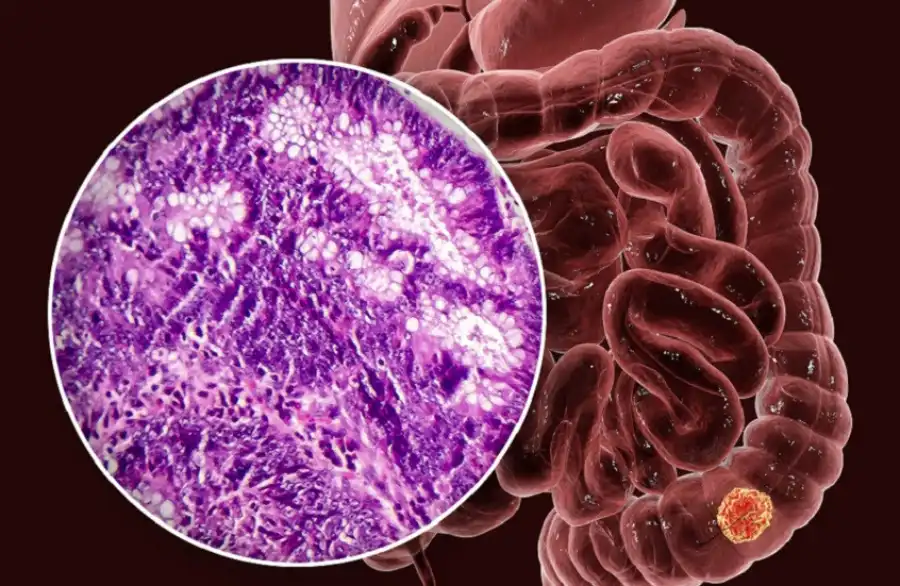 مدار الساعة,أخبار الصحة والأسرة