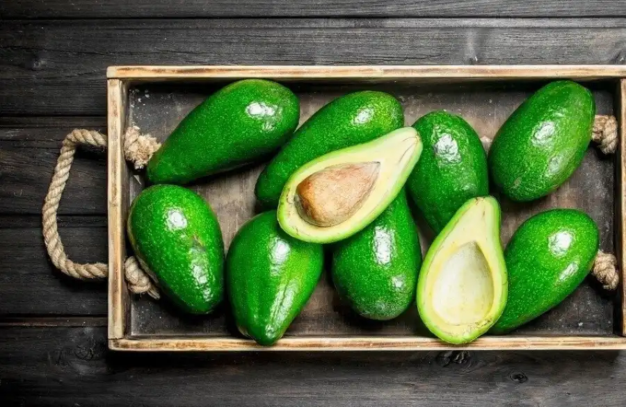 مدار الساعة,أخبار الصحة والأسرة