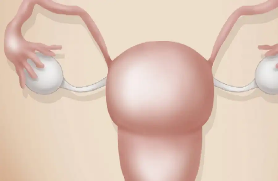 مدار الساعة,أخبار الصحة والأسرة