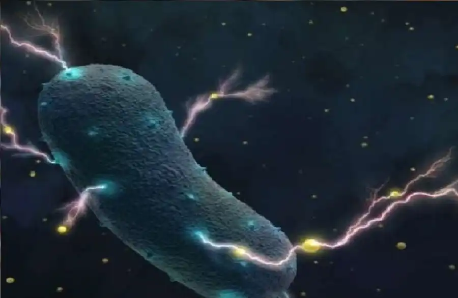 مدار الساعة,أخبار التكنولوجيا، التقنيات