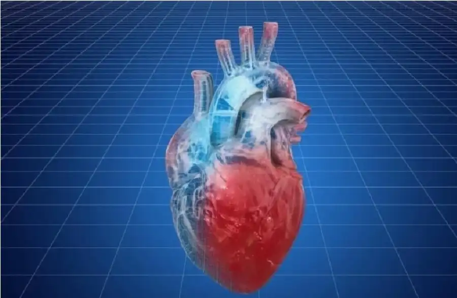 مدار الساعة,أخبار الصحة والأسرة