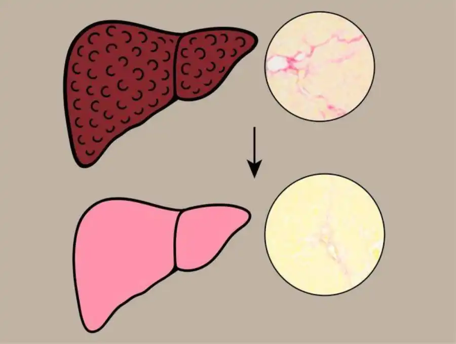 مدار الساعة,أخبار الصحة والأسرة