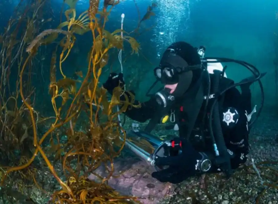 مدار الساعة,أخبار خفيفة ومنوعة