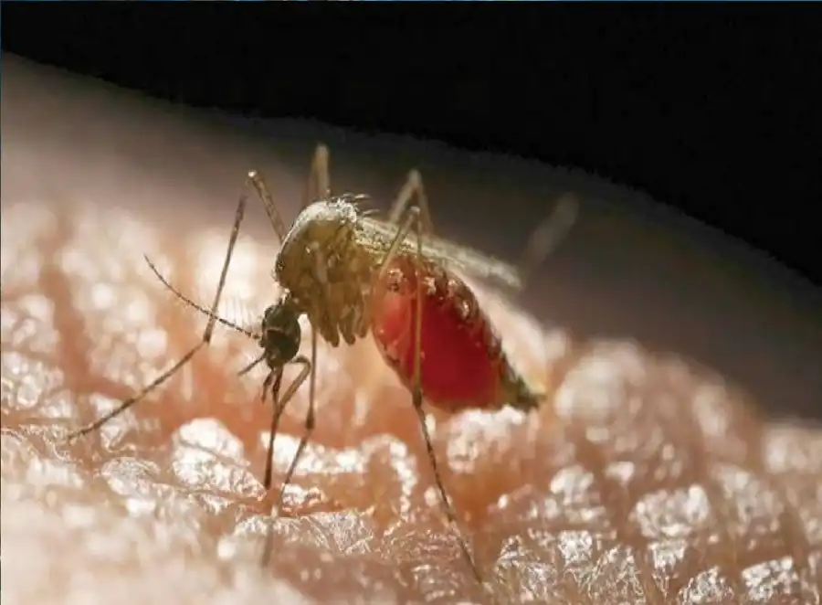 مدار الساعة,أخبار خفيفة ومنوعة