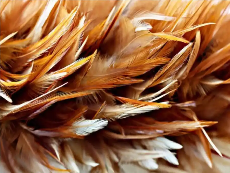 مدار الساعة,أخبار التكنولوجيا، التقنيات