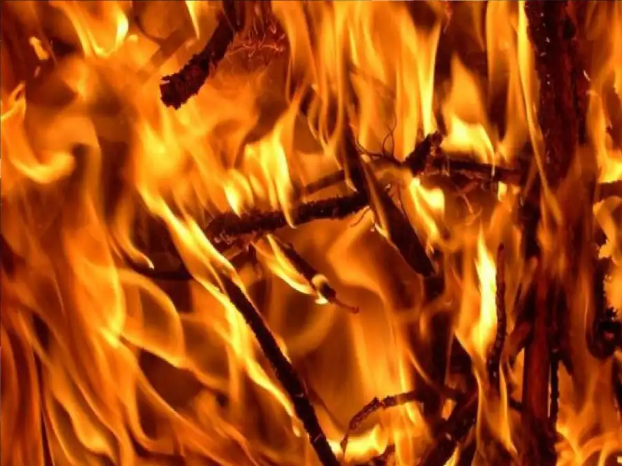 مدار الساعة,أخبار خفيفة ومنوعة