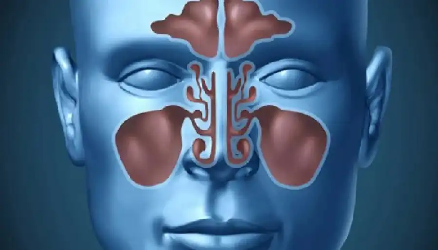 مدار الساعة,أخبار الصحة والأسرة