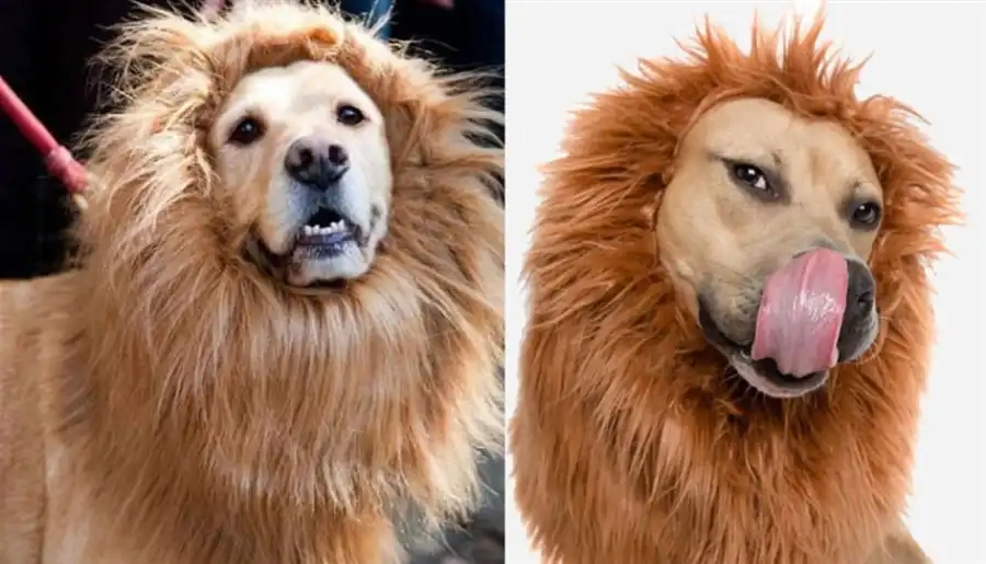 مدار الساعة,أخبار خفيفة ومنوعة