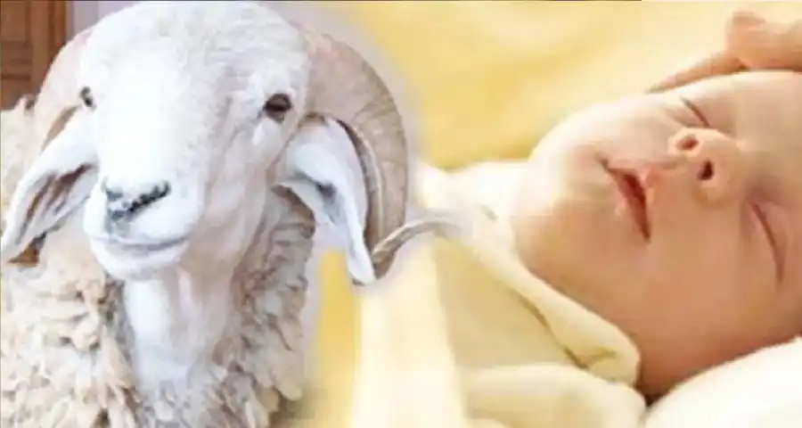 مدار الساعة,شؤون دينية