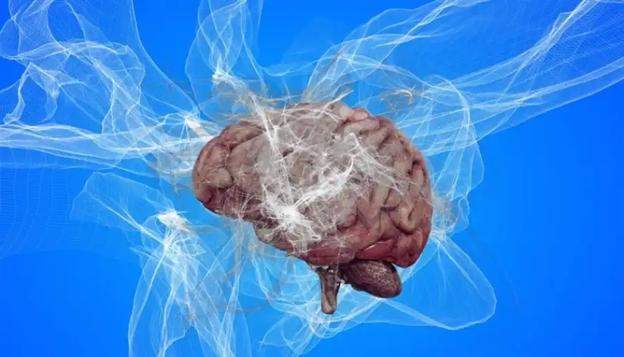 مدار الساعة,أخبار الصحة والأسرة