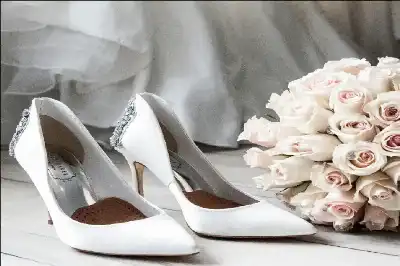 الثقافة المعاصرة المجنونة.. يابانية تتزوج تشات