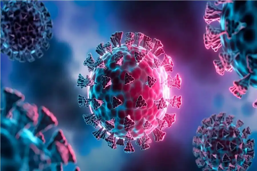 مدار الساعة,أخبار الصحة والأسرة