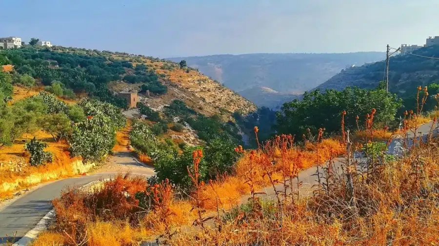 مدار الساعة,أخبار الأردن,اخبار الاردن,الطقس في الأردن اليوم,طقس الأردن,طقس العرب,طقس العرب الاردن,درجات الحرارة العظمى والصغرى,الأرصاد الجوية,درجات الحرارة,البحر الميت