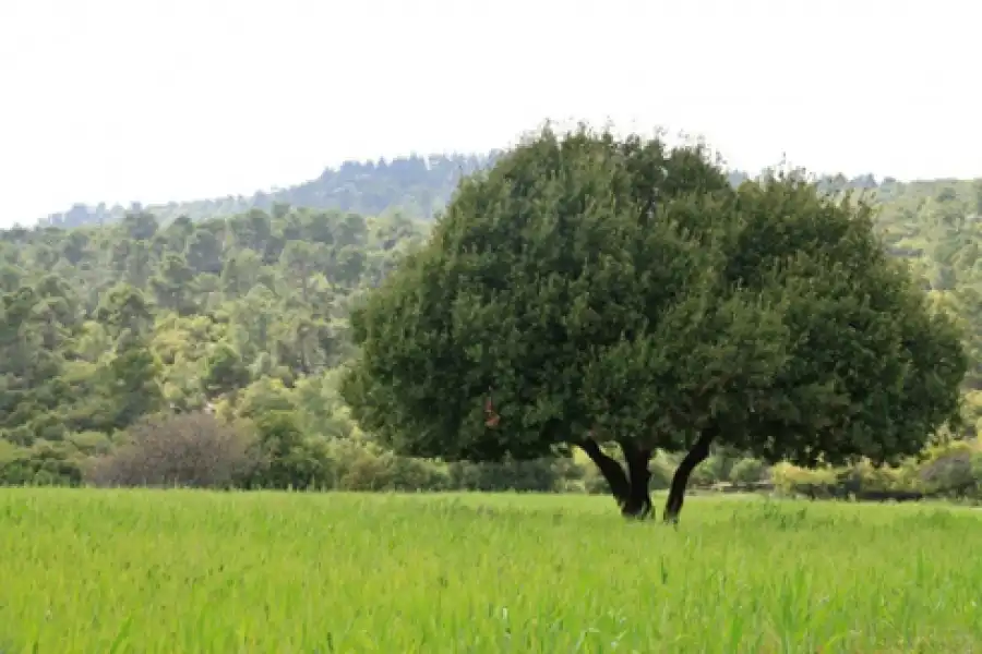 مدار الساعة,أخبار الأردن,اخبار الاردن
