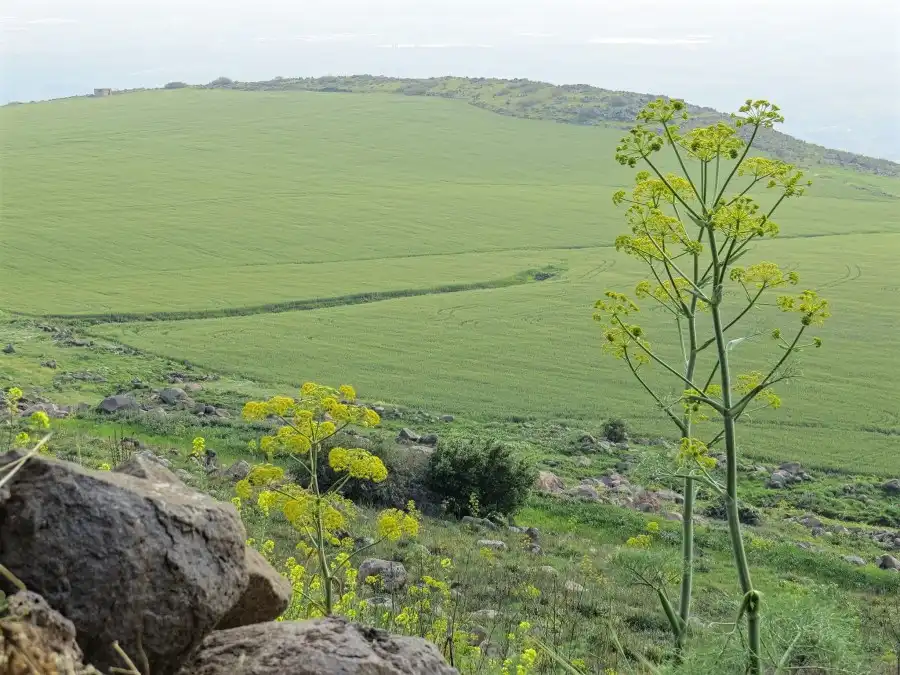 مدار الساعة,أخبار الأردن,اخبار الاردن,درجات الحرارة