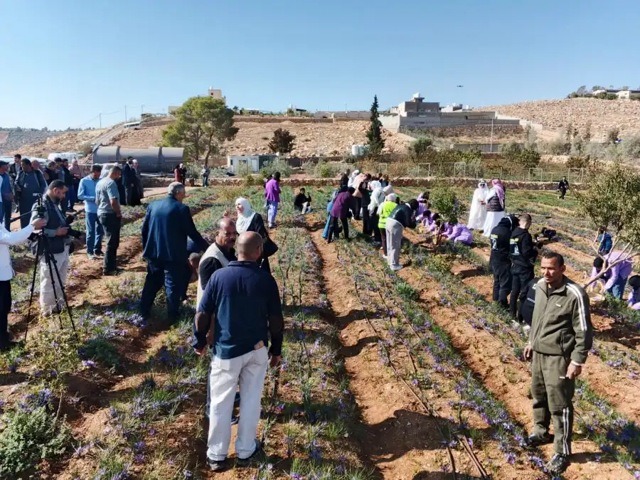 مدار الساعة,أخبار اقتصادية,مؤسسة الإقراض الزراعي,وكالة الأنباء الأردنية,الإقراض الزراعي
