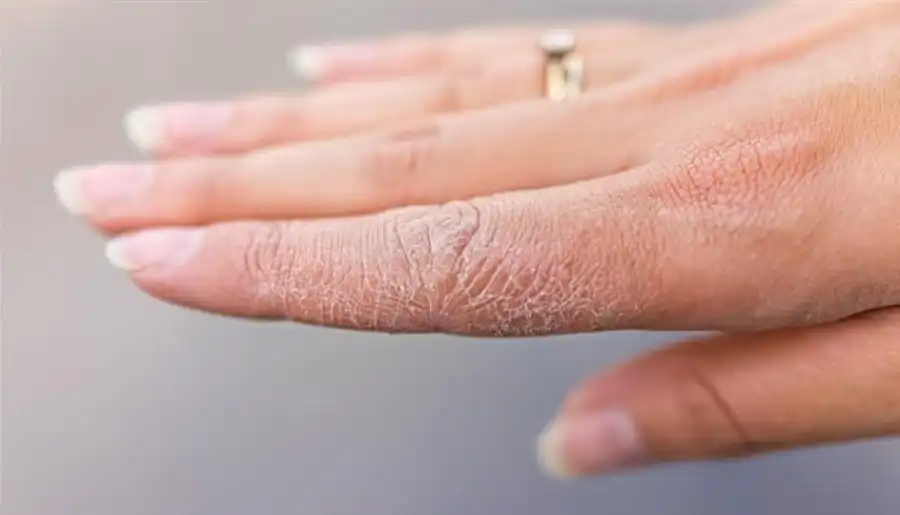 مدار الساعة,أخبار الصحة والأسرة