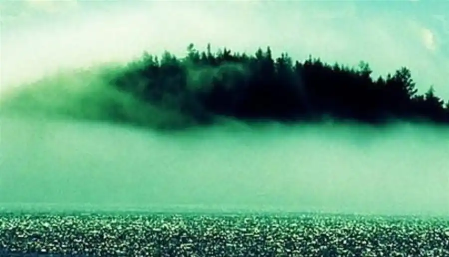 مدار الساعة,أخبار خفيفة ومنوعة