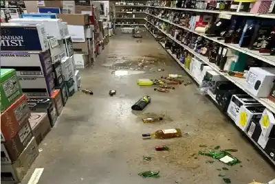 اقتحم المتجر وشرب حتى الثمالة راكون