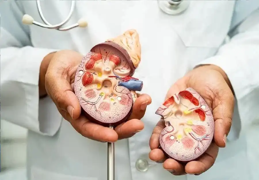 مدار الساعة,أخبار الصحة والأسرة