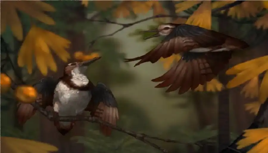 مدار الساعة,أخبار خفيفة ومنوعة