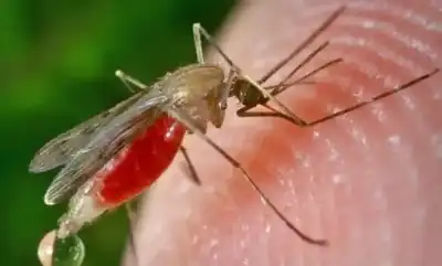 لأول مرة في الأردن.. اكتشاف مقلق