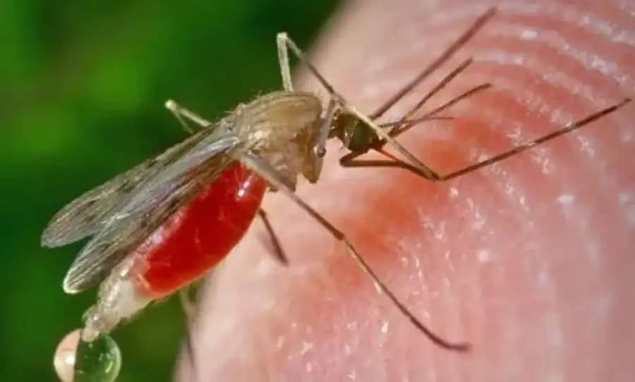 مدار الساعة,أخبار الأردن,اخبار الاردن,أخبار الصحة والأسرة,جامعة العلوم والتكنولوجيا