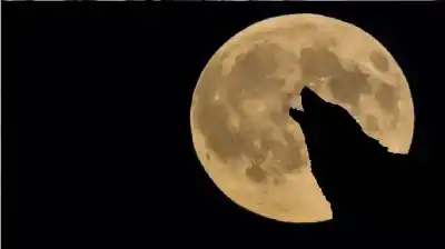 قمر الذئب العملاق يفتتح العام الجديد: