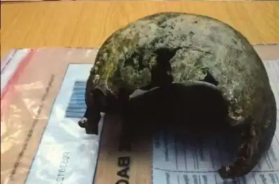 مفاجأة صادمة على الشاطئ: أهمية الحذر