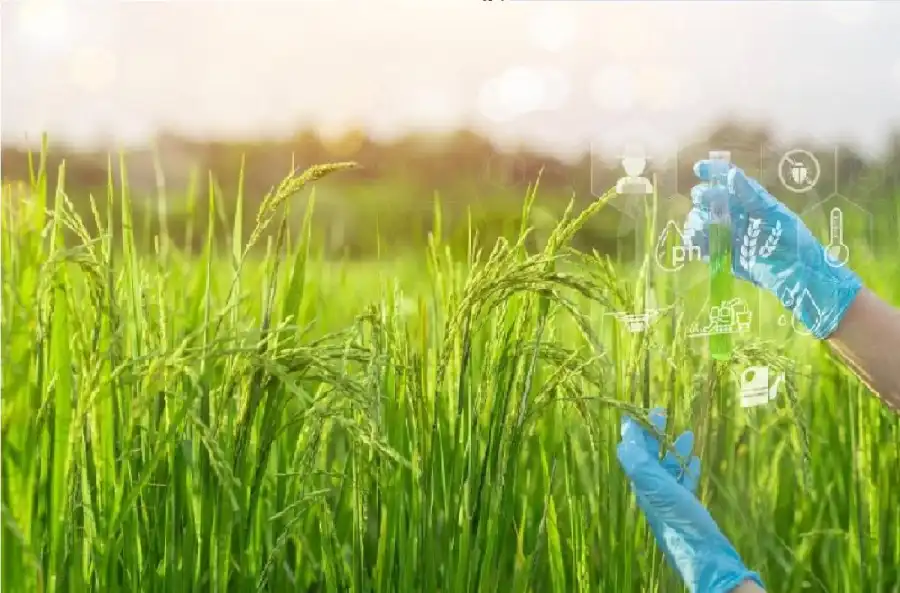 مدار الساعة,أخبار خفيفة ومنوعة