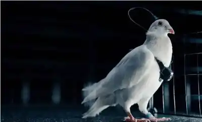 وداعا للطائرات المسيرة؟ روسيا تنجح في