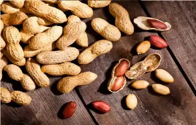 كيف يعزز الفول السوداني تدفق الدم