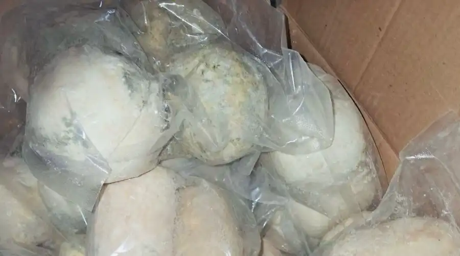 مدار الساعة,أخبار الأردن,اخبار الاردن,المؤسسة العامة للغذاء والدواء,الإدارة الملكية لحماية البيئة