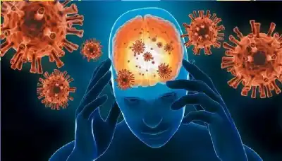 تغيرات في بنية الدماغ: دراسة أسترالية