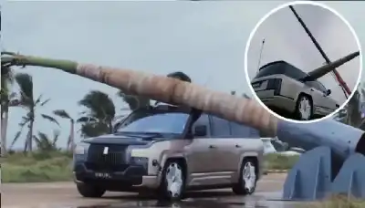 الوحش الصيني الصامد: كيف صمدت سيارة