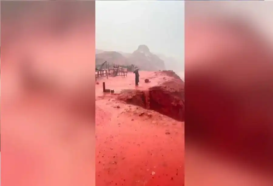 مدار الساعة,أخبار خفيفة ومنوعة,مواقع التواصل الاجتماعي,الذكاء الاصطناعي