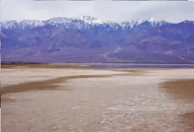 الحياة تعود إلى وادي الموت: ظهور