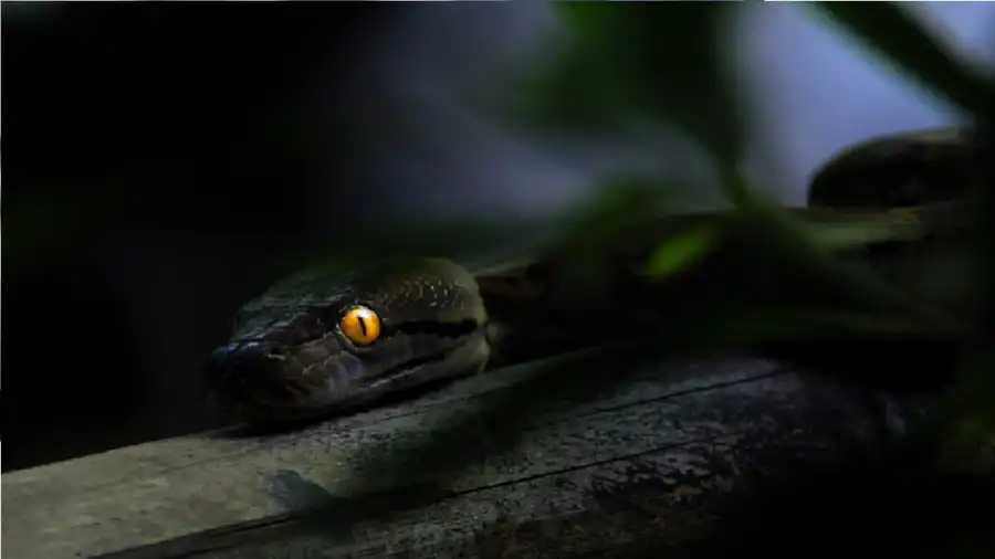 مدار الساعة,أخبار التكنولوجيا، التقنيات,درجات الحرارة