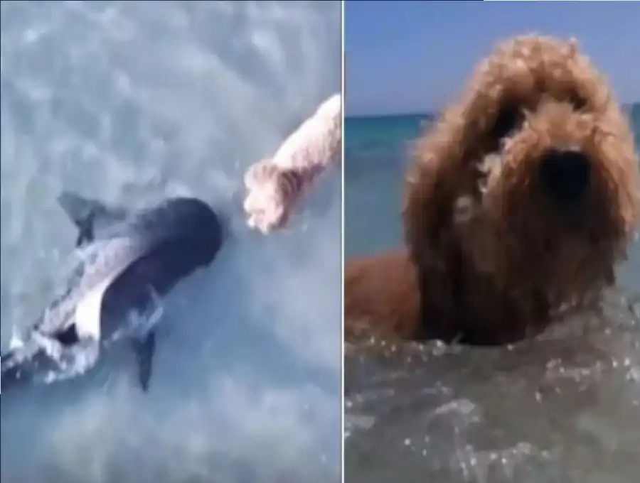 مدار الساعة,أخبار خفيفة ومنوعة