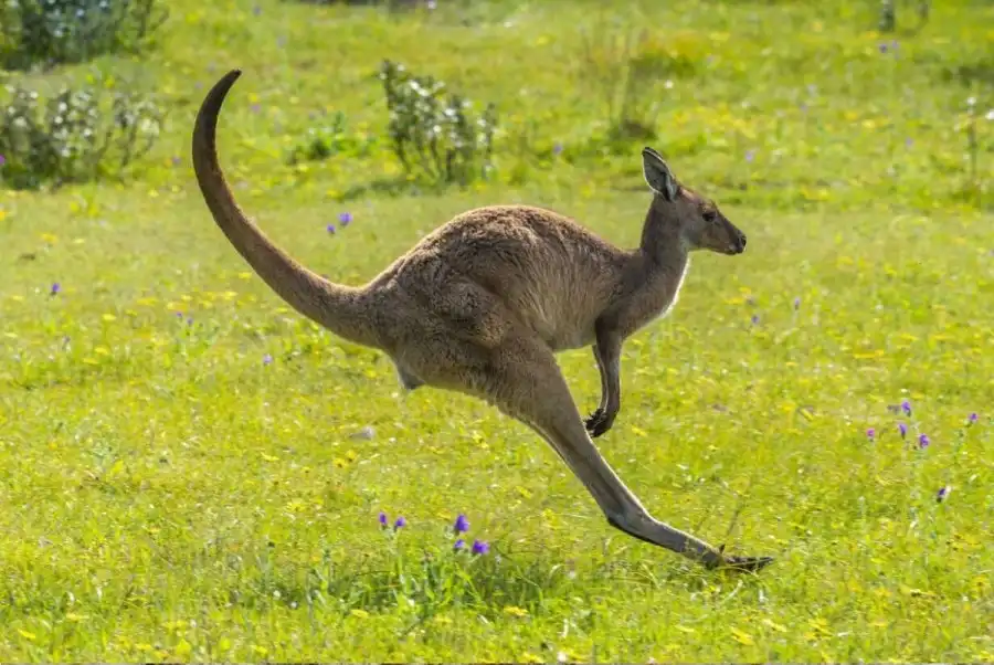 مدار الساعة,أخبار خفيفة ومنوعة