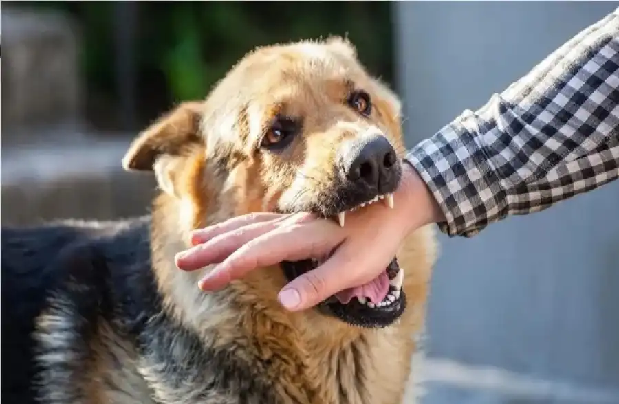مدار الساعة,أخبار الصحة والأسرة,وزارة الصحة