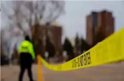 حصاد 2025: عندما تصبح الحقيقة أغرب