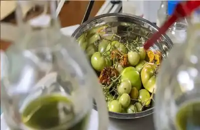 طائرات تحلق بـ نفايات البندورة.. حقيقة