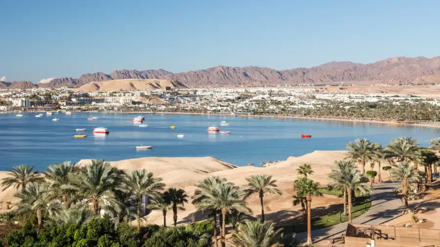 مدار الساعة,أخبار الأردن,اخبار الاردن,سلطة منطقة العقبة الاقتصادية الخاصة